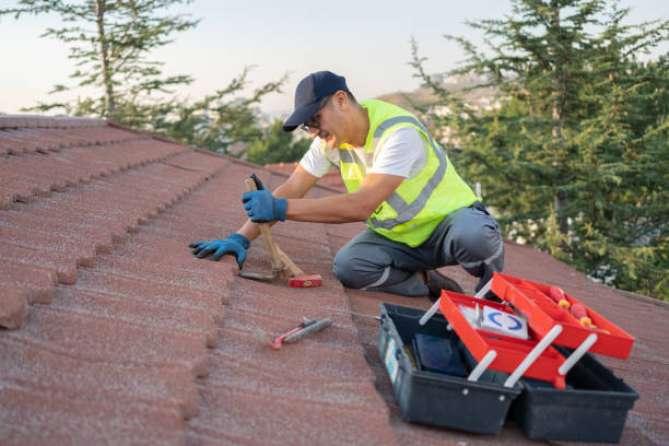 Best Chimney Flashing Repair  in Hollymead, VA